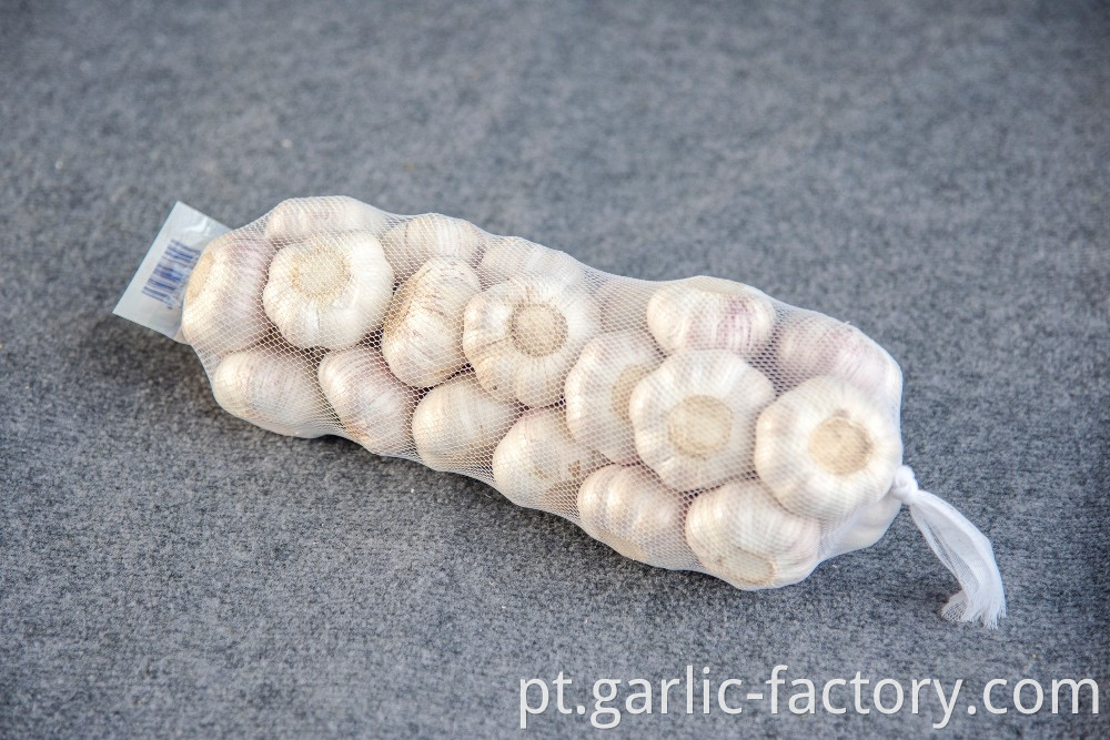Supplied Chinese Fresh Garlic with design packing